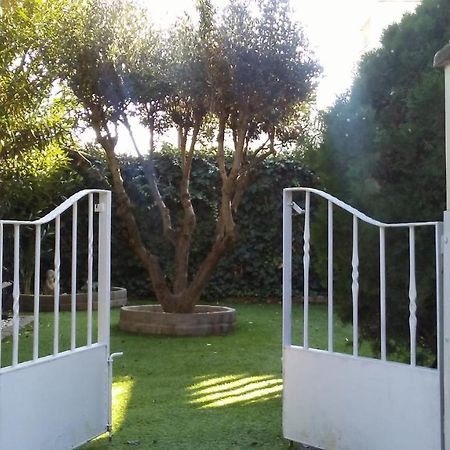 Bodega Intima Daire Zaragoza Dış mekan fotoğraf